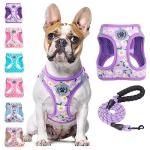 Floral Reflective Step-In Dog Harness and Leash Set