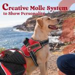 Medium No-Pull Adjustable Dog Harness with Molle