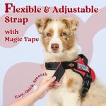 Medium No-Pull Adjustable Dog Harness with Molle