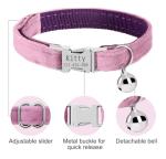 Customizable Cat Collar with Name Plate and Bell