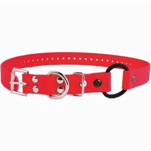 Adjustable Waterproof Bungee Dog Collar - Red