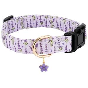 Personalized Pink Cherry Pattern Dog Collar