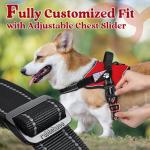 Medium No-Pull Adjustable Dog Harness with Molle