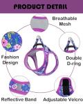 Floral Reflective Dog Harness and Leash Set