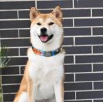 21 Pack Silent Slide-On Pet ID Tags