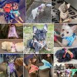 Floral Reflective Step-In Dog Harness and Leash Set