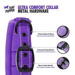 Ultra Comfort Neoprene Dog Collar with ID Holder