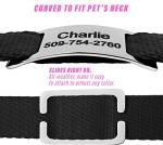Personalized Stainless Steel Slide-On Pet ID Tags