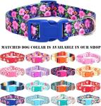 Floral Reflective Dog Harness and Leash Set