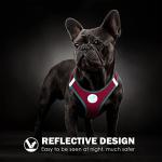 Reflective Adjustable Step-in Dog Harness for Pets