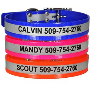 Personalized Reflective Waterproof Dog Collar, Durable