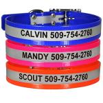 Personalized Reflective Waterproof Dog Collar, Durable