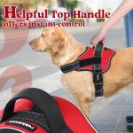Medium No-Pull Adjustable Dog Harness with Molle