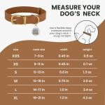 BronzeDog Leather Dog Collar with QR ID Tag