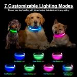 Multicolor LED Light Up Dog Collar
