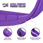 Ultra Comfort Neoprene Dog Collar with ID Holder