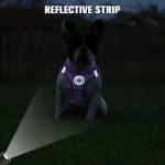 Floral Reflective Step-In Dog Harness and Leash Set