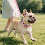Joytale Adjustable Reflective Dog Collar - Pink