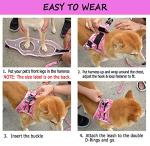 Floral Reflective Dog Harness and Leash Set