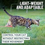 Escape Proof Cat Harness and Leash Set - Black