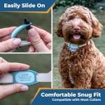Personalized Silent Dog and Cat ID Tags