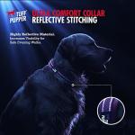 Ultra Comfort Neoprene Dog Collar with ID Holder