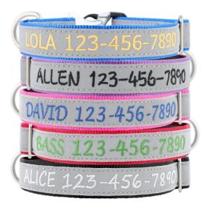 Personalized Reflective Dog Collar with Embroidered Name