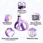 Floral Reflective Step-In Dog Harness and Leash Set
