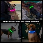 Multicolor LED Light Up Dog Collar