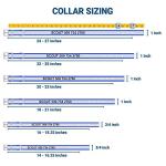 Personalized Reflective Waterproof Dog Collar, Durable