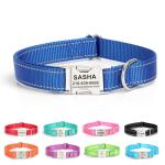 Custom Engraved Reflective Dog Collar with Name Tag