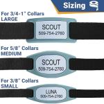 Personalized Silent Dog and Cat ID Tags