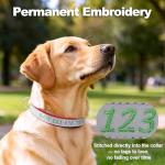 Personalized Reflective Dog Collar with Embroidered Name