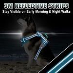 BARKBAY Reflective No Pull Dog Harness, Blue