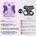 Floral Reflective Step-In Dog Harness and Leash Set