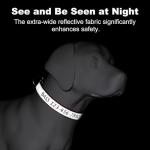 Personalized Reflective Dog Collar with Embroidered Name