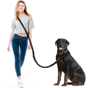 Philorn Hands-Free Dog Leash and Waist Belt
