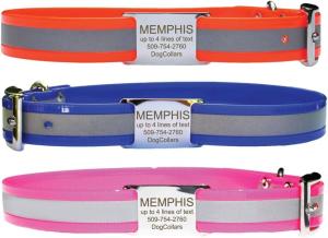 Personalized Reflective Waterproof Dog Collar with ID Tag