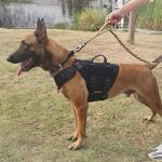 Tactical Dog Harness with Handles and ID Panel