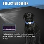 Custom Engraved Reflective Dog Collar with Name Tag