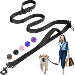 Kazazoo Adjustable Hands-Free Dog Leash for Training