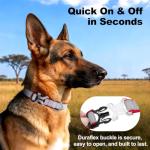 Personalized Reflective Dog Collar with Embroidered Name