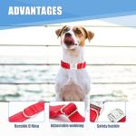 Custom Engraved Reflective Dog Collar with Name Tag