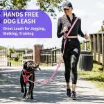 Kazazoo Adjustable Hands-Free Dog Leash - Purple