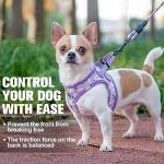 Floral Reflective Step-In Dog Harness and Leash Set