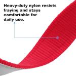 Personalized Reflective Dog Collar with Embroidered Name