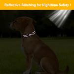 Personalized Reflective Neoprene Dog Collar with Name
