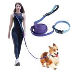 Hands-Free Leash and Collar for Small Dogs
