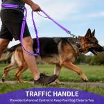Kazazoo Adjustable Hands-Free Dog Leash - Purple