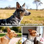 Personalized Reflective Dog Collar with Embroidered Name